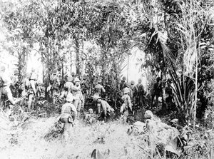 اعتداء على Kyaing-Kwintaung Stockade ، بورما ، من قبل Devon Regt الثاني ، خلال حملة Wuntho Sawbwa ، 1891